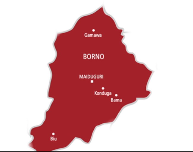 Suicide Bomber Kills 10 At Borno Food Joint