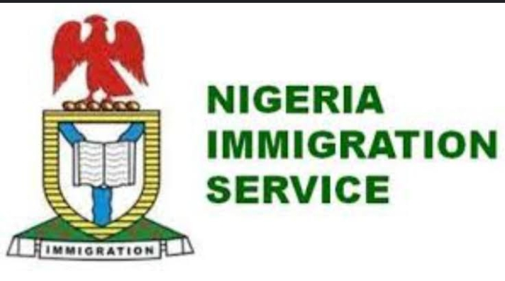 Lagos LG poll: Why We Did Not Shut Border – Immigration Lagos LG poll: Why We Did Not Shut Border – Immigration