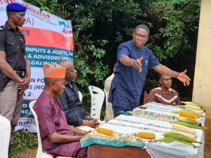 OYSADA Distributes Farm Inputs To Farmers In Oluyole, Lagelu, Akinyele, Ibadan North East, Others.