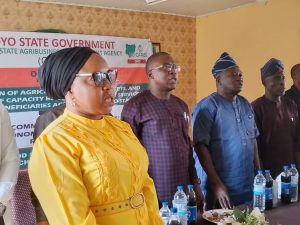 Farmers In Ona-Ara, Egbeda, Kajola, Other LGAs Benefit As OYSADA Completes 5th N-Cares Farm Inputs Distribution