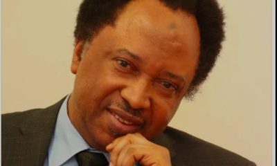 Secondary School Certificate Enough for Political Office – Shehu Sani