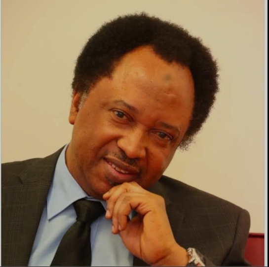 Secondary School Certificate Enough for Political Office – Shehu Sani Secondary School Certificate Enough for Political Office – Shehu Sani