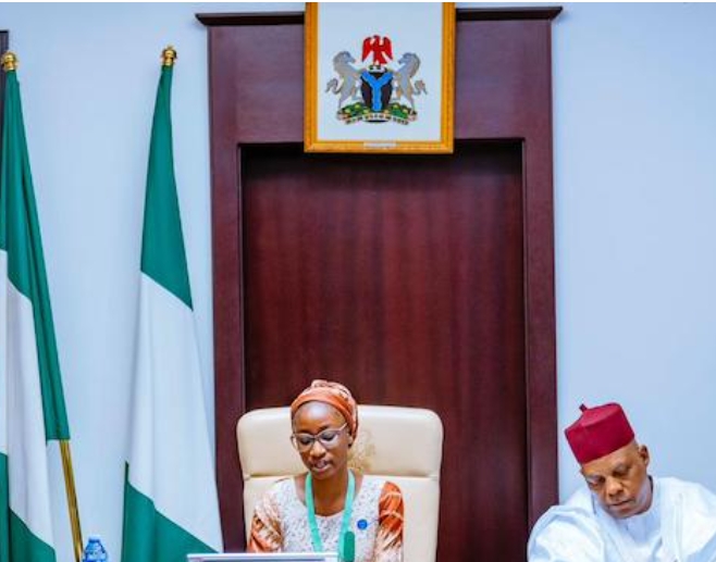 Teenager Becomes Nigeria’s ‘Vice President for a Day’ Teenager Becomes Nigeria’s ‘Vice President for a Day’