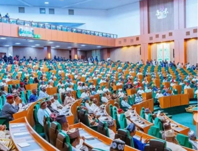 Reps Move to Intervene in PENGASSAN–Dangote Refinery Dispute Reps Move to Intervene in PENGASSAN–Dangote Refinery Dispute