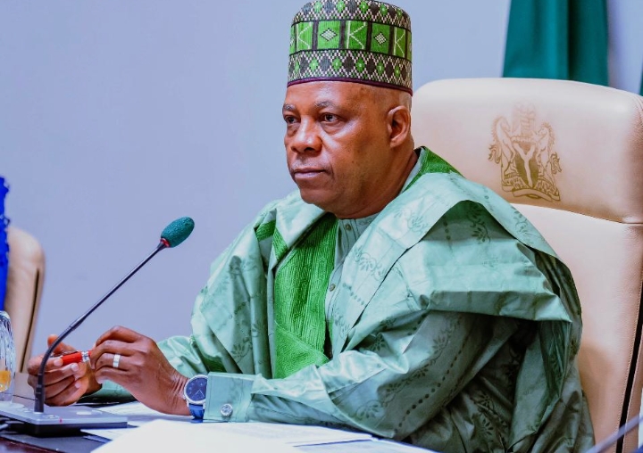Nigeria Won’t Tolerate Dehumanisation of Its Citizens in South Africa — Shettima