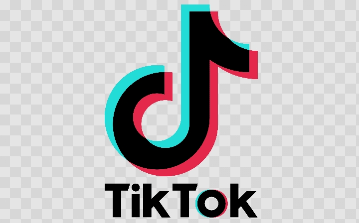 Foundation Sues TikTok Over Alleged Restrictions in Kano, Kaduna, Kebbi, Sokoto